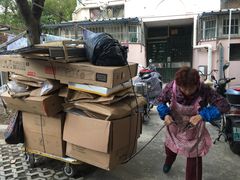 -爱侣宠医·鹦鹉专科·小型哺乳类·异宠专科(灵石路店)