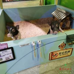 -酷嗒动物文化乐园(cutezoo西溪乐天城店)