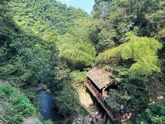 -莫干山风景区