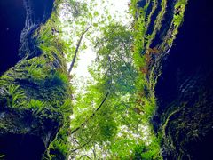 -梭布垭石林景区