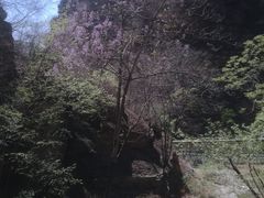 -北京上方山国家森林公园