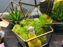 -歎雪糕低糖低脂Gelato冰淇淋