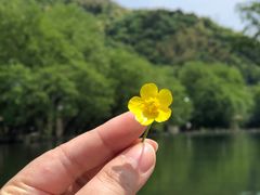 -鹿亭中村