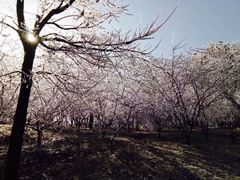 -九华山友谊土菜馆 小资餐厅