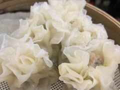 招牌鲜肉烧麦-晓友烧麦(光华村店)