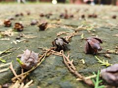-南阳卧龙岗武侯祠