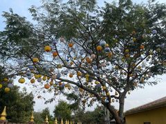 -一寨两国风景区