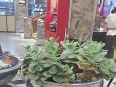 -陈熹公民族美食文化餐厅(中华广场店)