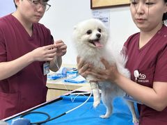 -美联众合动物医院·24h转诊中心