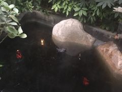 -西安国际创新人才交流中心•药浴温泉