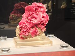 -湖南省地质博物馆