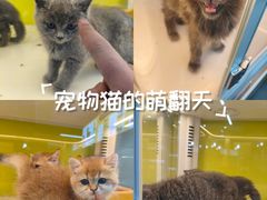 -成都银泰城