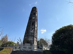 -上海佘山国家森林公园天马山园