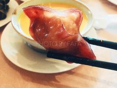 -希尔顿酒店-豫园中餐厅