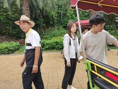 -野狸岛