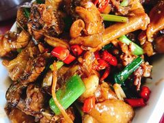 -生态苑农庄(十里画廊遇龙河店)