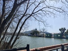 -白塔湖国家湿地公园