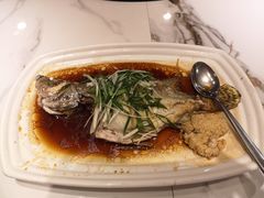 香葱蒸桂鱼-朱仔记食府(江南大道店)