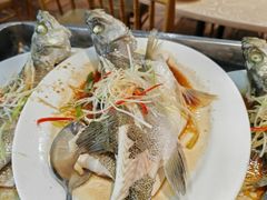 -百年银屏蚝烙·潮汕菜·非遗(乐山店)