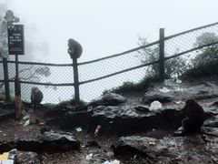 -峨嵋山金顶