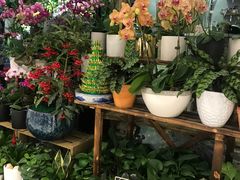 -BOBLOOM花店(宝龙旭辉广场店)