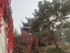 -北京世界公园