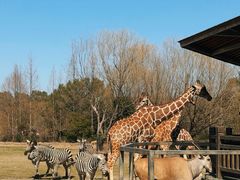 -宁波野生动物园