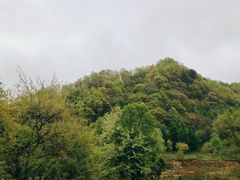 -关山草原