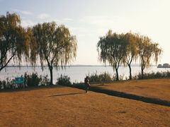 -漕湖湿地公园