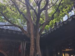 -我嘉书房(南翔名士居店)