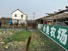 -小鱼草莓采摘园农家乐·小鱼餐厅