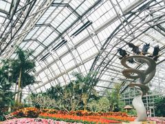 -南山植物园
