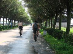 单车一族-海鸥岛