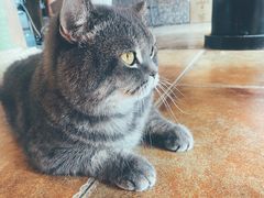 -B.O.M波姆烘焙(凤凰街店)