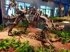-自贡恐龙博物馆