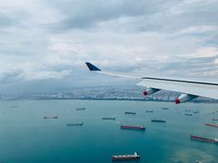 -新加坡航空公司(ION)