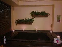 -春晖园度假酒店温泉