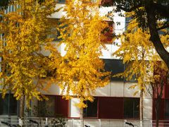 -上海交通大学(闵行校区)