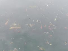 -芙蓉街-王府池子
