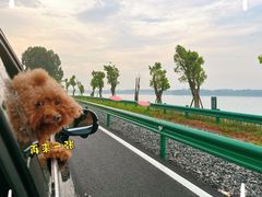 -露天矿生态公园