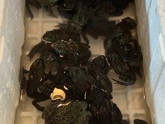 -胶东海鲜大排档(北太平庄店)