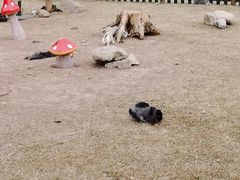 -江苏三台山国家森林公园