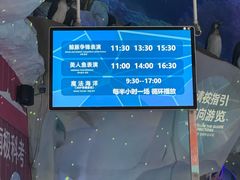 -海合安青岛极地海洋公园