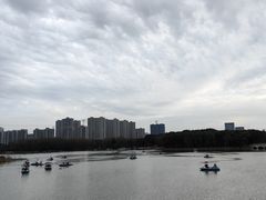 -昆山城市生态森林公园