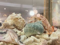 -菊上料理(蜀山银泰百货店)