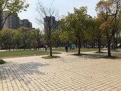 -新江湾城公园