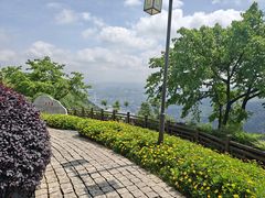 -铁山坪森林公园