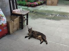 -宝龙城(杭州滨江店)