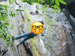 -夏山营地教育