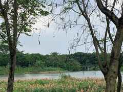 -海珠湖公园